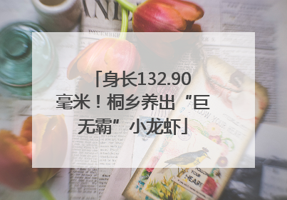 身长132.90毫米！桐乡养出“巨无霸”小龙虾