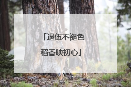退伍不褪色 稻香映初心