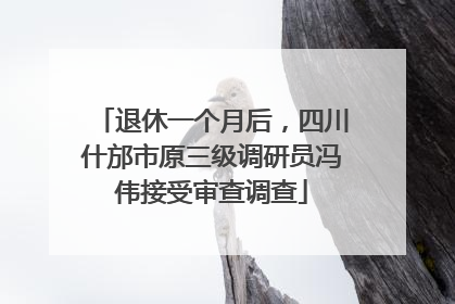 退休一个月后，四川什邡市原三级调研员冯伟接受审查调查