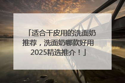 适合干皮用的洗面奶推荐，洗面奶哪款好用2025精选推介！