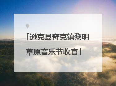 逊克县奇克镇黎明草原音乐节收官