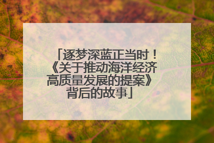 逐梦深蓝正当时！《关于推动海洋经济高质量发展的提案》背后的故事