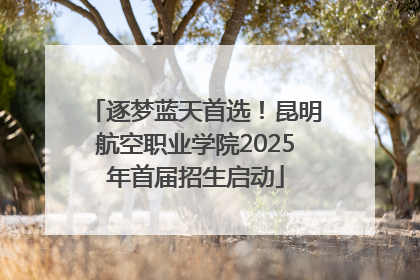 逐梦蓝天首选！昆明航空职业学院2025年首届招生启动