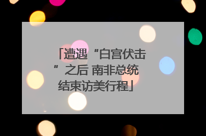 遭遇“白宫伏击”之后 南非总统结束访美行程