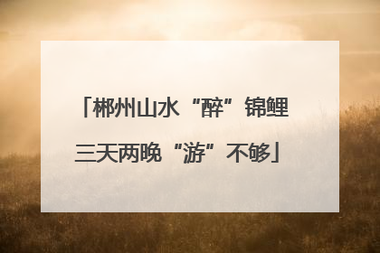 郴州山水“醉”锦鲤 三天两晚“游”不够