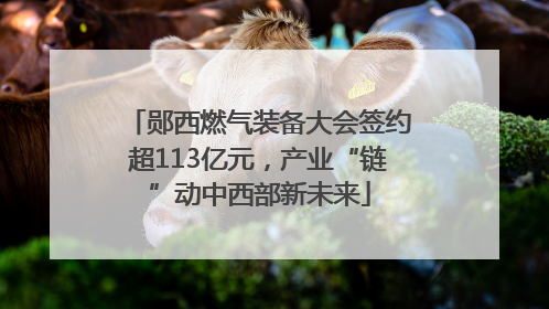 郧西燃气装备大会签约超113亿元，产业“链”动中西部新未来