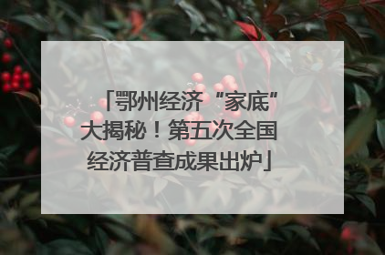 鄂州经济“家底”大揭秘！第五次全国经济普查成果出炉
