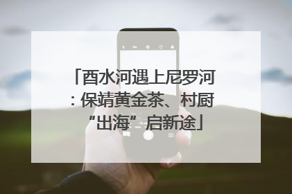 酉水河遇上尼罗河：保靖黄金茶、村厨“出海”启新途