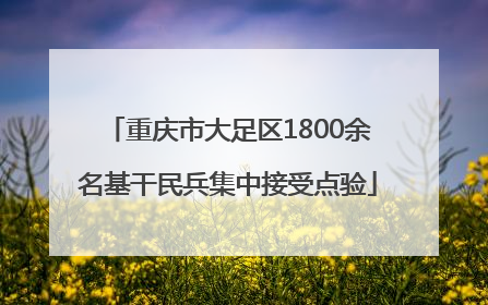 重庆市大足区1800余名基干民兵集中接受点验