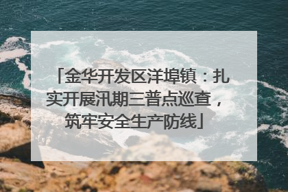 金华开发区洋埠镇：扎实开展汛期三普点巡查，筑牢安全生产防线