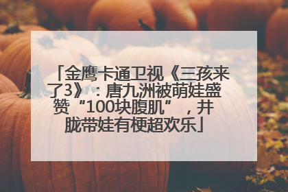 金鹰卡通卫视《三孩来了3》：唐九洲被萌娃盛赞“100块腹肌”，井胧带娃有梗超欢乐