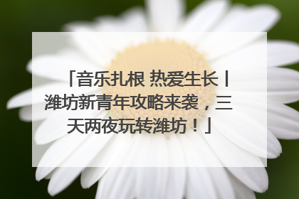 音乐扎根 热爱生长丨潍坊新青年攻略来袭，三天两夜玩转潍坊！