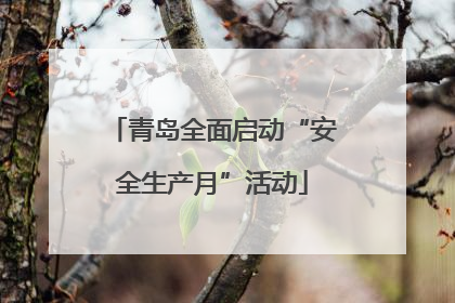 青岛全面启动“安全生产月”活动