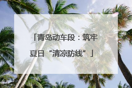 青岛动车段：筑牢夏日“清凉防线”