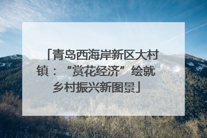 青岛西海岸新区大村镇：“赏花经济”绘就乡村振兴新图景