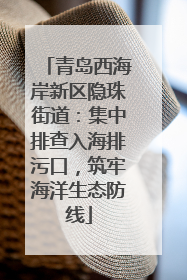 青岛西海岸新区隐珠街道：集中排查入海排污口，筑牢海洋生态防线