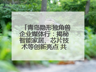 青岛隐形独角兽企业媒体行：揭秘智能家居、芯片技术等创新亮点 共绘科技新篇章