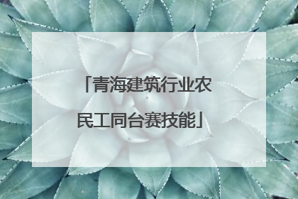 青海建筑行业农民工同台赛技能