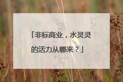 非标商业，水灵灵的活力从哪来？