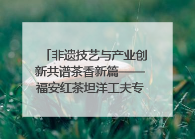 非遗技艺与产业创新共谱茶香新篇——福安红茶坦洋工夫专场推介会在京举办