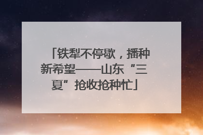 铁犁不停歇，播种新希望——山东“三夏”抢收抢种忙