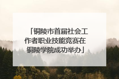 铜陵市首届社会工作者职业技能竞赛在铜陵学院成功举办