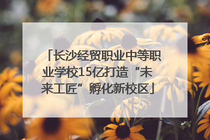 长沙经贸职业中等职业学校15亿打造“未来工匠”孵化新校区