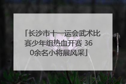 长沙市十一运会武术比赛少年组热血开赛 360余名小将展风采