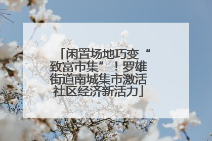 闲置场地巧变“致富市集”！罗雄街道南城集市激活社区经济新活力