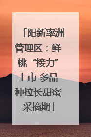 阳新率洲管理区：鲜桃“接力”上市 多品种拉长甜蜜采摘期