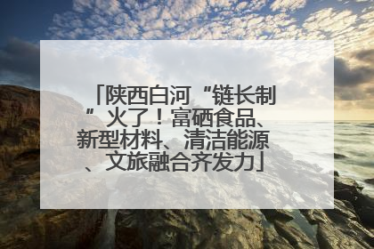 陕西白河“链长制”火了！富硒食品、新型材料、清洁能源、文旅融合齐发力