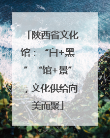 陕西省文化馆：“白+黑”“馆+景”，文化供给向美而聚