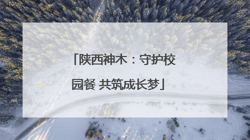 陕西神木：守护校园餐 共筑成长梦