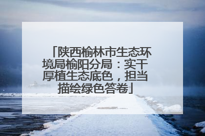 陕西榆林市生态环境局榆阳分局：实干厚植生态底色，担当描绘绿色答卷
