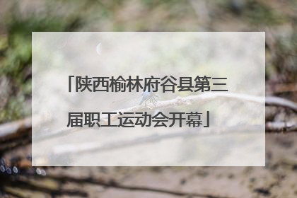 陕西榆林府谷县第三届职工运动会开幕