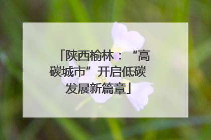 陕西榆林：“高碳城市”开启低碳发展新篇章