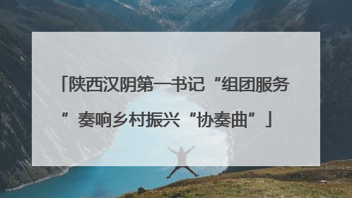 陕西汉阴第一书记“组团服务”奏响乡村振兴“协奏曲”