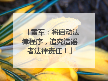 雷军：将启动法律程序，追究造谣者法律责任！