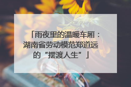 雨夜里的温暖车厢：湖南省劳动模范郑道远的“摆渡人生”
