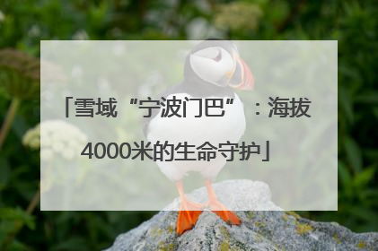 雪域“宁波门巴”：海拔4000米的生命守护