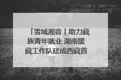 雪域湘音丨助力藏族青年就业 湖南援藏工作队建成西藏首个清洁能源装备园