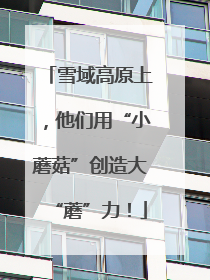 雪域高原上，他们用“小蘑菇”创造大“蘑”力！