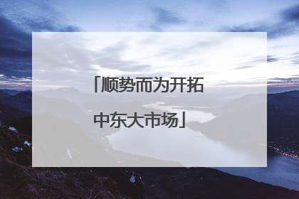 顺势而为开拓中东大市场