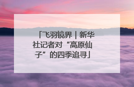 飞羽镜界｜新华社记者对“高原仙子”的四季追寻