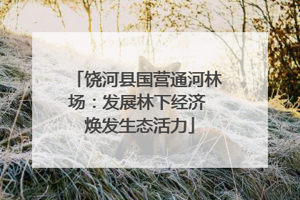 饶河县国营通河林场：发展林下经济 焕发生态活力