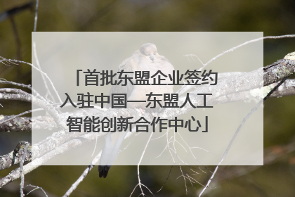 首批东盟企业签约入驻中国—东盟人工智能创新合作中心