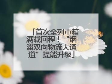 首次全列重箱满载回程！“烟淄双向物流大通道”提能升级