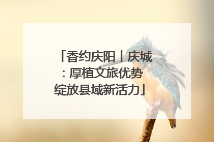 香约庆阳丨庆城：厚植文旅优势 绽放县域新活力