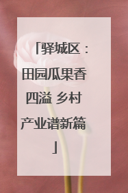 驿城区：田园瓜果香四溢 乡村产业谱新篇