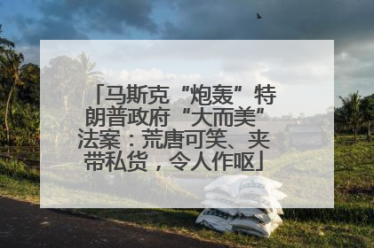 马斯克“炮轰”特朗普政府“大而美”法案：荒唐可笑、夹带私货，令人作呕